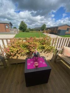 Zahrada ubytování 16 Lake View, Pendle View Holiday Park, Clitheroe