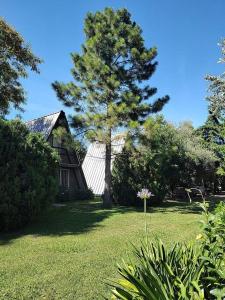 ein Hof mit einem Baum und einem Haus in der Unterkunft Cabañas Alpinas San Pedro in San Pedro