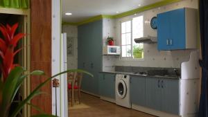 Kuchnia lub aneks kuchenny w obiekcie Apartamentos Los Delfines