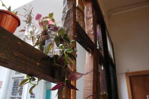 Fotografie z fotogalerie ubytování Valparadise Hostel v destinaci Valparaíso