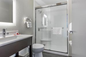 Koupelna v ubytování Econo Lodge Inn & Suites