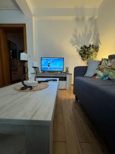TV a/nebo společenská místnost v ubytování Caravaggio Apartman
