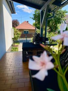 Zahrada ubytování Leander House + 7 fotografií