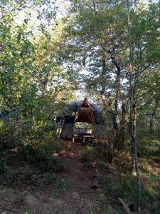 Foto dalla galleria di Conguillio glamping a Melipeuco
