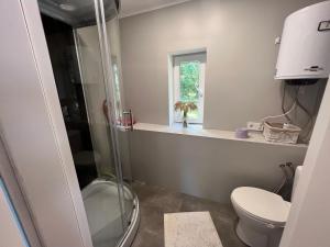 a bathroom with a shower and a toilet and a window at Brīvdienu māja Štākas in Vitzēni +24 photos