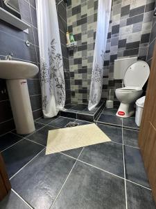 a bathroom with a toilet and a sink at Vila Snezana in Gevgelija