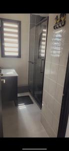ein Badezimmer mit Dusche und Waschbecken in der Unterkunft T2 tout équipé pour 4 personnes en bord de mer in Saint-Cyprien
