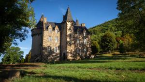 an old castle on a grassy field at Château de Longevergne in Anglards-de-Salers