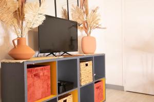 TV a/nebo společenská místnost v ubytování Le Bellamy - T2 Cosy et paisible