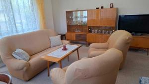 TV a/nebo společenská místnost v ubytování Apartmány Zelená Hora s velkou zahradou