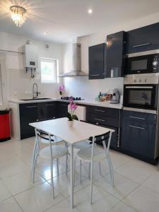 a kitchen with a table and two chairs and a table and a sink at Résidence des canaris in Toulouse