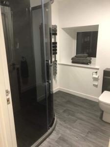 a bathroom with a shower and a toilet at Old chemist in Lybster