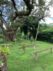 Giardino di Coquira Soil Project