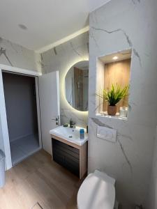 a bathroom with a toilet and a sink and a mirror at Apartment Luxury Explorer in Podgorica