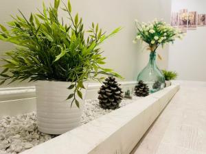 ニコロージにあるLa Dama dell'Etnaのギャラリーの写真