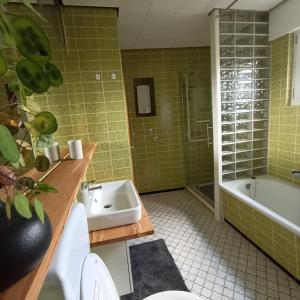 Ένα μπάνιο στο Ferienhaus Hollig