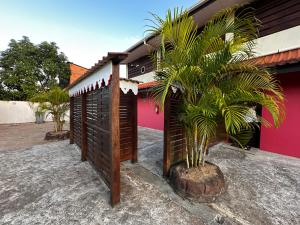 a palm tree next to a building with a fence at Hotel La Villa Morena in Oiapoque