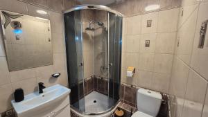 a bathroom with a shower and a toilet and a sink at Apartament w Centrum in Międzybrodzie Bialskie