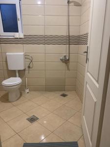 a bathroom with a toilet and a shower at Apartments Nurkovic in Dobra Voda