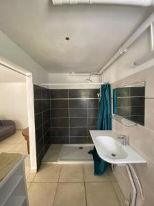 Koupelna v ubytování Appartement paisible avec jardin