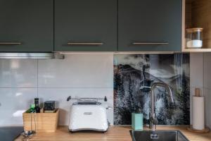 Kuchyň nebo kuchyňský kout v ubytování Apartament Chateau Karpielówka Kościelisko