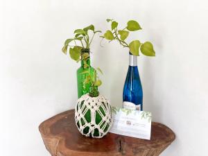 two bottles and a vase on a wooden table at Cocoa by Casa Momo Apartamento Acogedor y Céntrico in Bacalar
