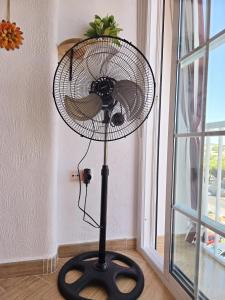 Fotografie z fotogalerie ubytování Paraíso! v destinaci Matalascañas