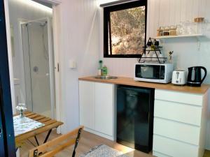 Clothiers CreekにあるRaspberry Spring Corner by Tiny Awayのキッチン(電子レンジ、シンク付きのカウンター付)