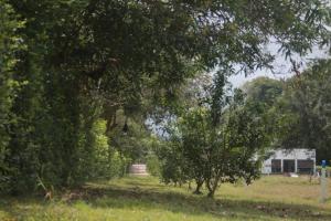 Zahrada ubytování Natural View