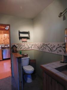 a bathroom with a toilet and a counter and a sink at No View Farm in Rumford