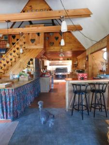a dog standing in the middle of a kitchen at No View Farm in Rumford