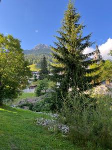 Fotografie z fotogalerie ubytování Hotel Piz Tambo v destinaci Splügen + 37 fotografií