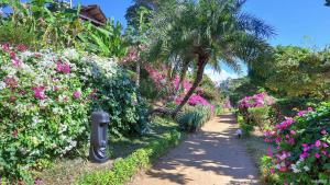 a path through a garden with flowers and a palm tree at Manga Soa Lodge in Fascène - Befefika
