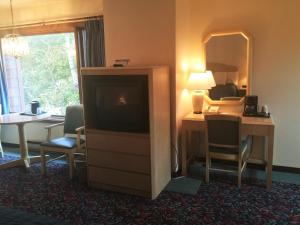 Televízia a/alebo spoločenská miestnosť v ubytovaní Cedar Motor Inn
