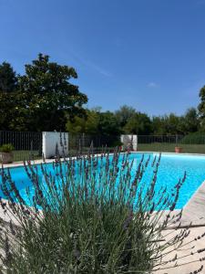 Photo de la galerie de l'établissement Alpilles Camargue Mas Falabrego, à Raphèle