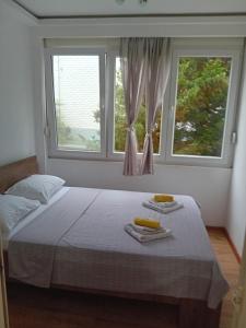 Postel nebo postele na pokoji v ubytování Apartman,,Siv,, Prijevor