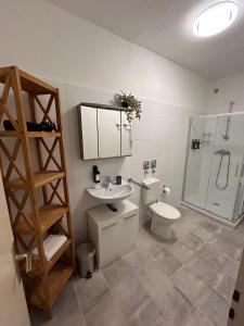 a bathroom with a sink and a toilet and a shower at Idylle Apartments - Park & Therme in Bad Ems +5 photos