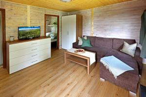 a living room with a couch and a tv at Lipno Lodge in Horní Planá