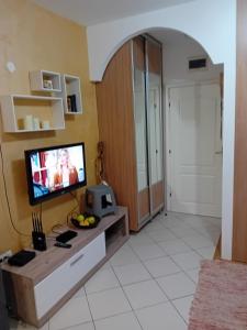 TV a/nebo společenská místnost v ubytování Apartman,,Siv,, Prijevor