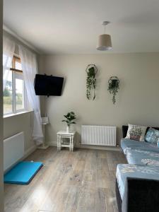 TV a/nebo společenská místnost v ubytování Family and pet friendly farm stay