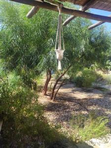 a swing hanging from a tree in a yard at Latmos 1860 in Skala