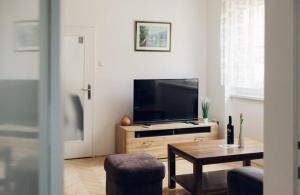 TV a/nebo společenská místnost v ubytování Apartman Marija Ilok