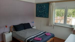 a bedroom with a bed with purple pillows and a window at Rogozen B&B in Rogozen +44 photos