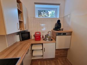 Kuhinja oz. manjša kuhinja v nastanitvi Haus Brenner Weiz