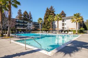 ein Swimmingpool mit Palmen und einem Gebäude in der Unterkunft Sunnyvale 1br w gym spa pool nr tech SFO-1443 in Sunnyvale