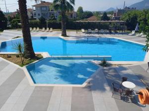 a large blue swimming pool with chairs and palm trees at Hotel Orfeas in Kalabaka