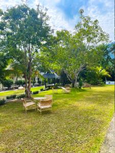 a park with benches and a table and a tree at Dreamz Village in Tanjung Rhu +117 photos