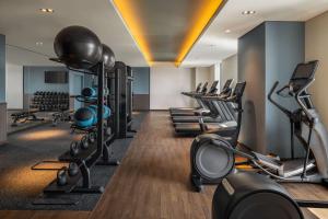 Fitness centrum a/nebo fitness zařízení v ubytování DoubleTree by Hilton Osaka Castle