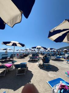 a group of chairs and umbrellas on a beach at Gli Oleandri in Ospedaletti
