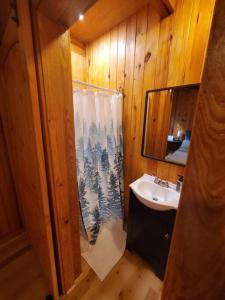 a bathroom with a sink and a shower curtain at 109 Vinewood Cabin-1 Bedroom in Brewton +10 photos